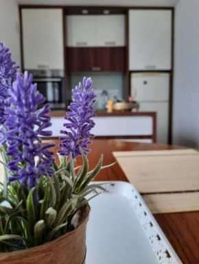 Apartman Kovaci
